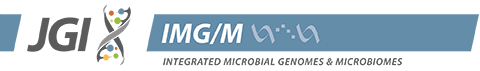 IMG logo