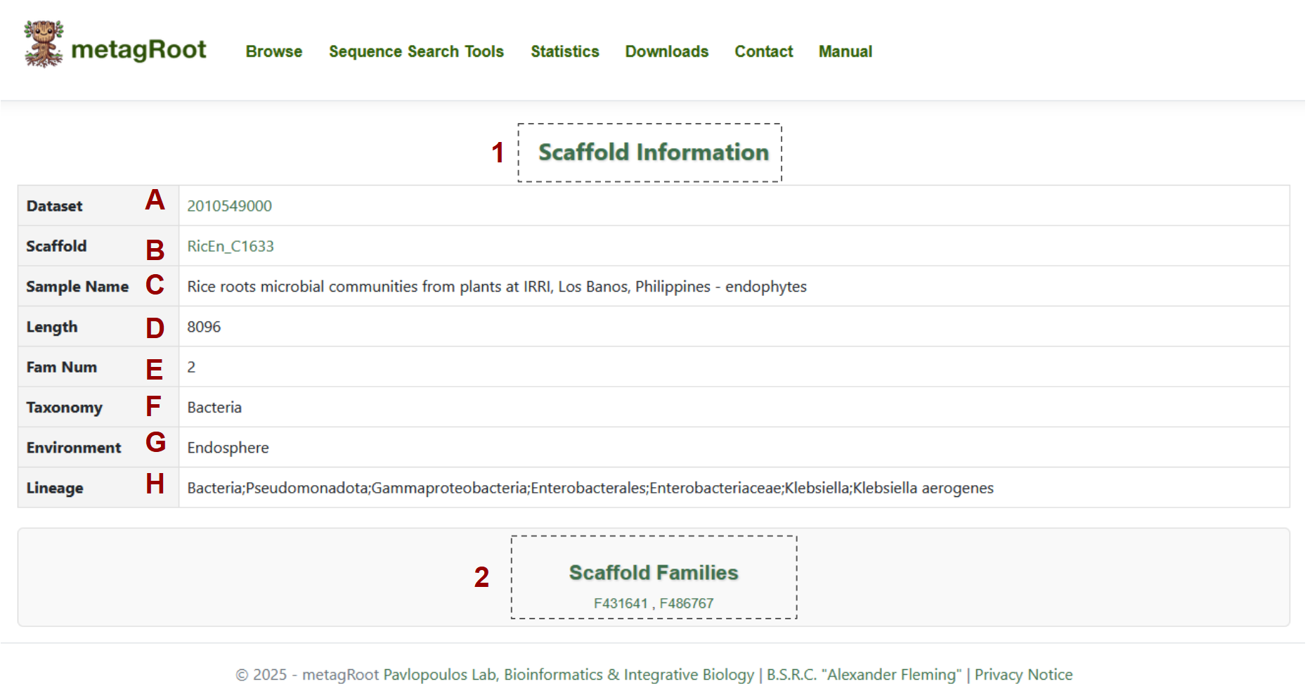 Scaffold 2